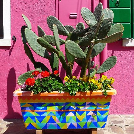 Night Galleria Holiday Home - Bed & Art In Burano - The Pink House エクステリア 写真